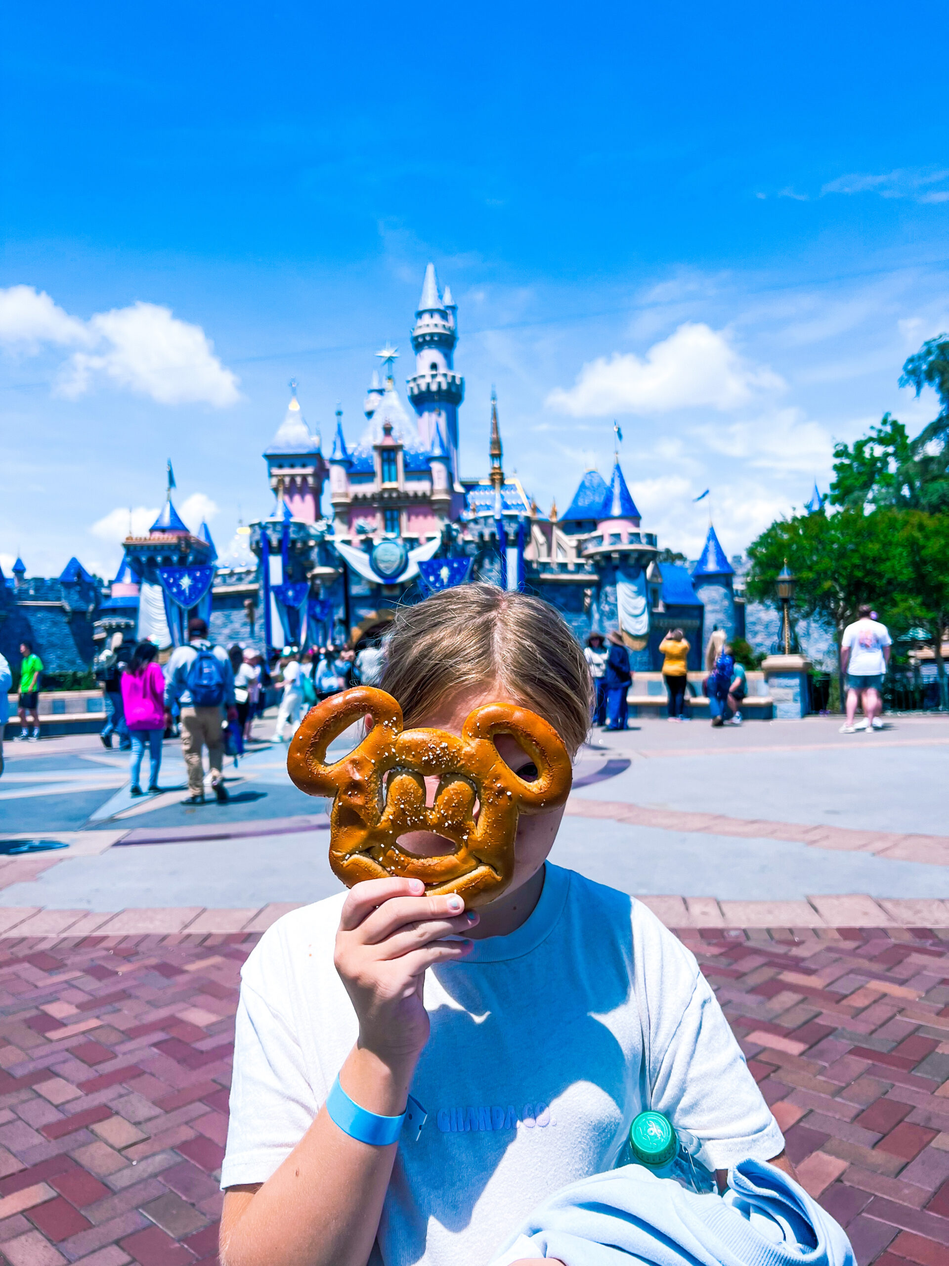 Disney trip planning