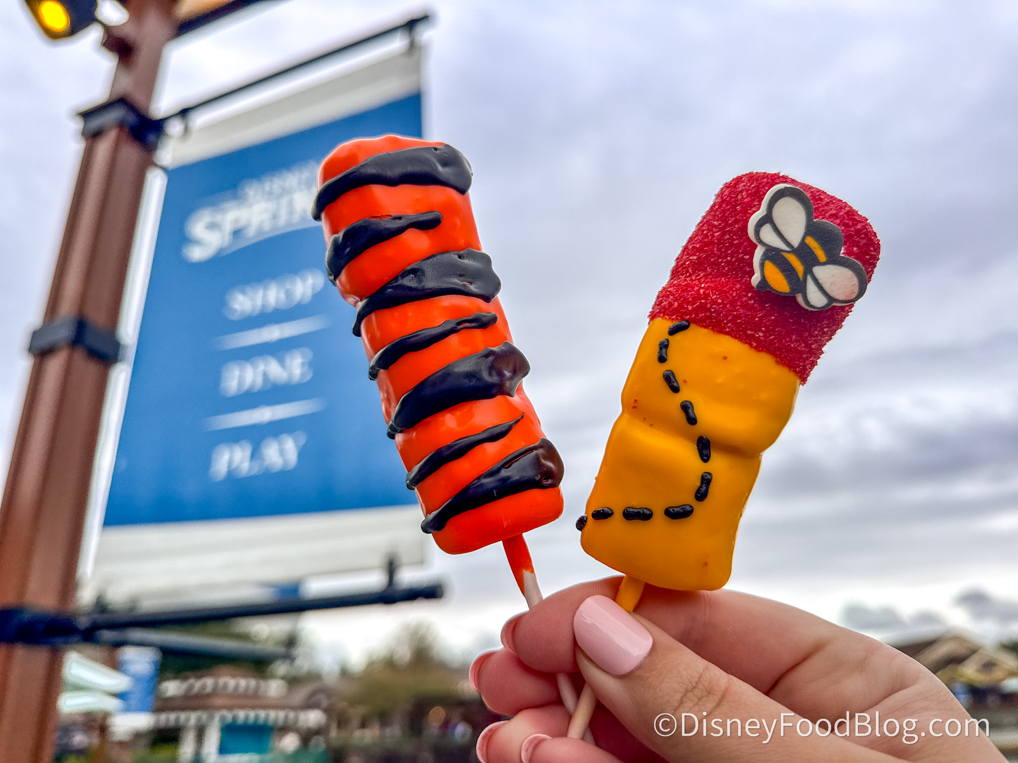 Disney transportation