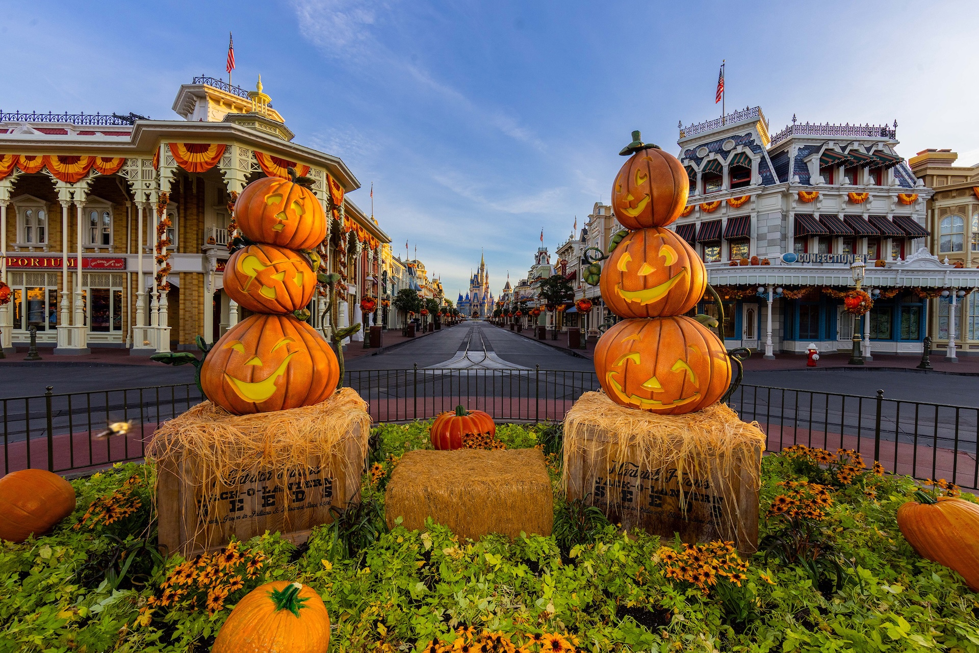 Disney World Transport Guide: Hotels, Buses, and Skyliner Routes