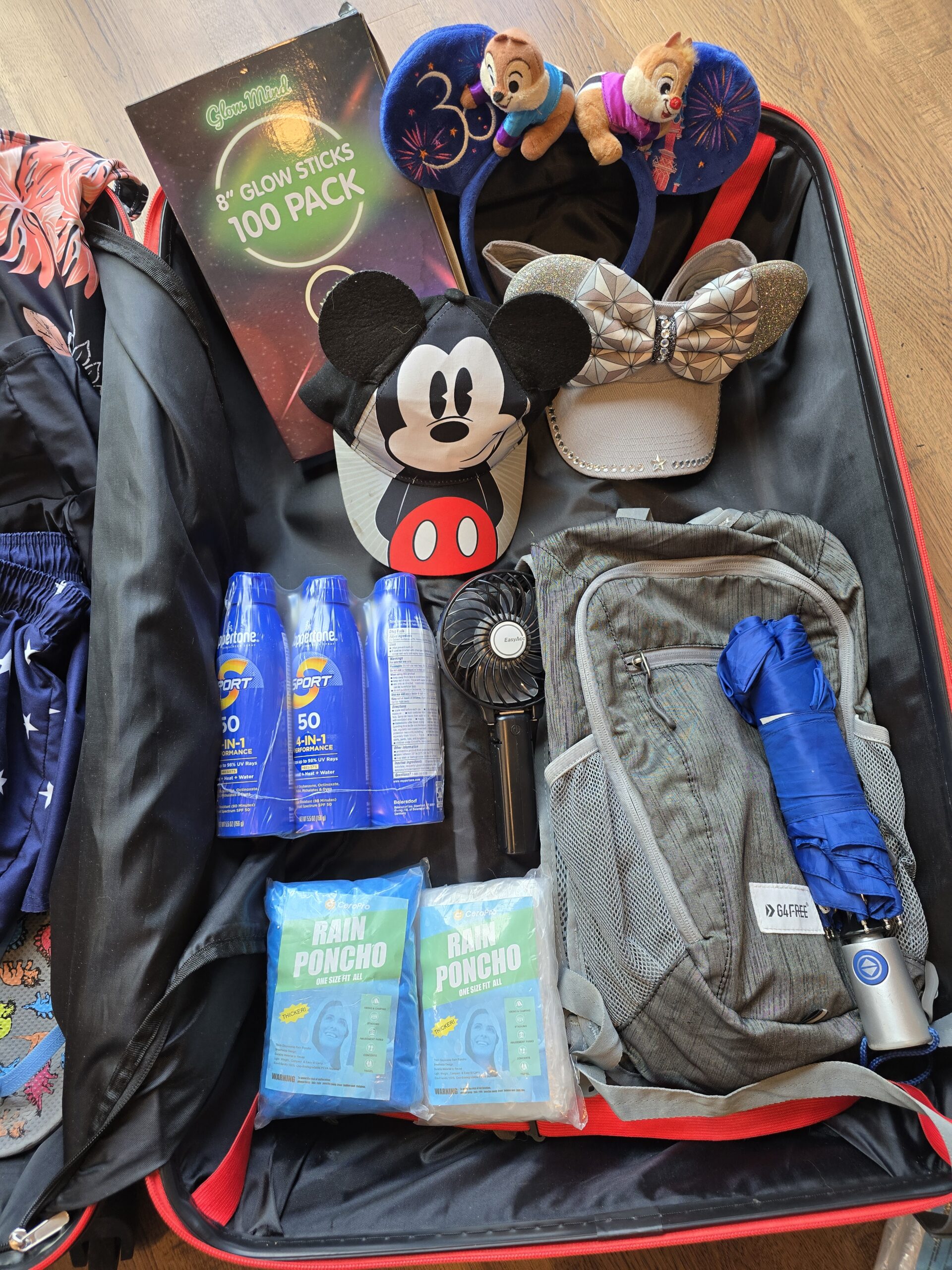 Disney trip planning