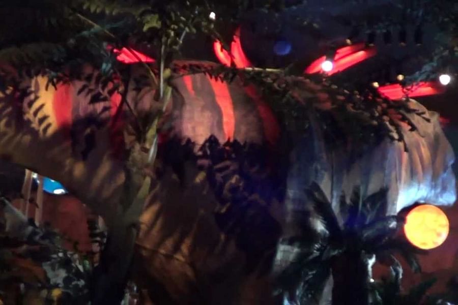 T-Rex Cafe Meteor Shower Room