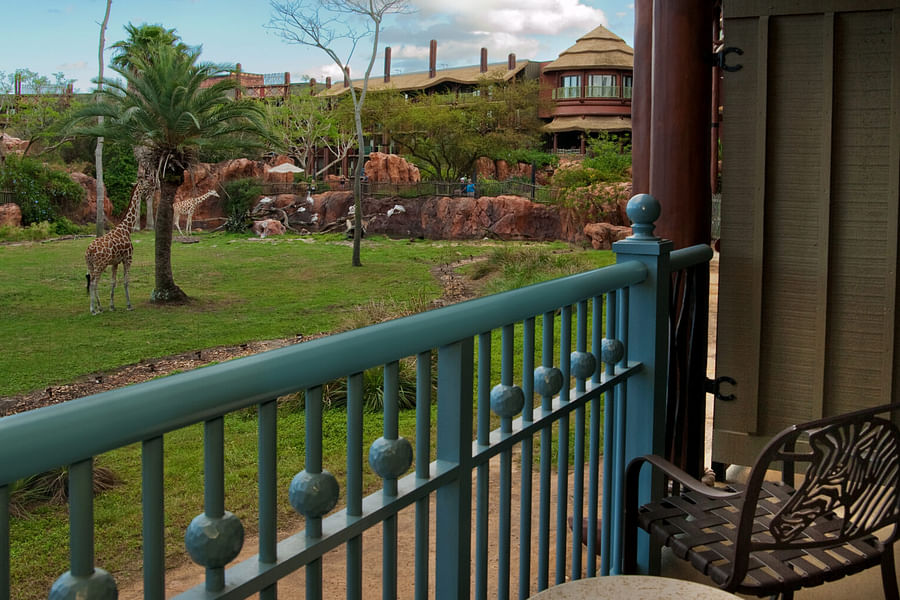 Disney's Animal Kingdom Lodge