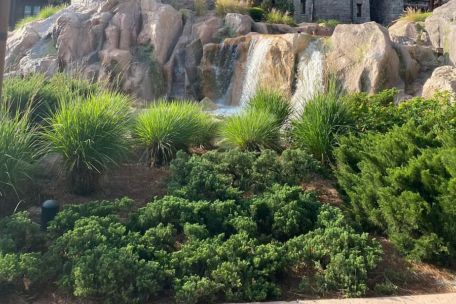 Disney's Wilderness Lodge