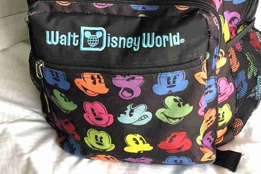 Disney World Resort Hopping