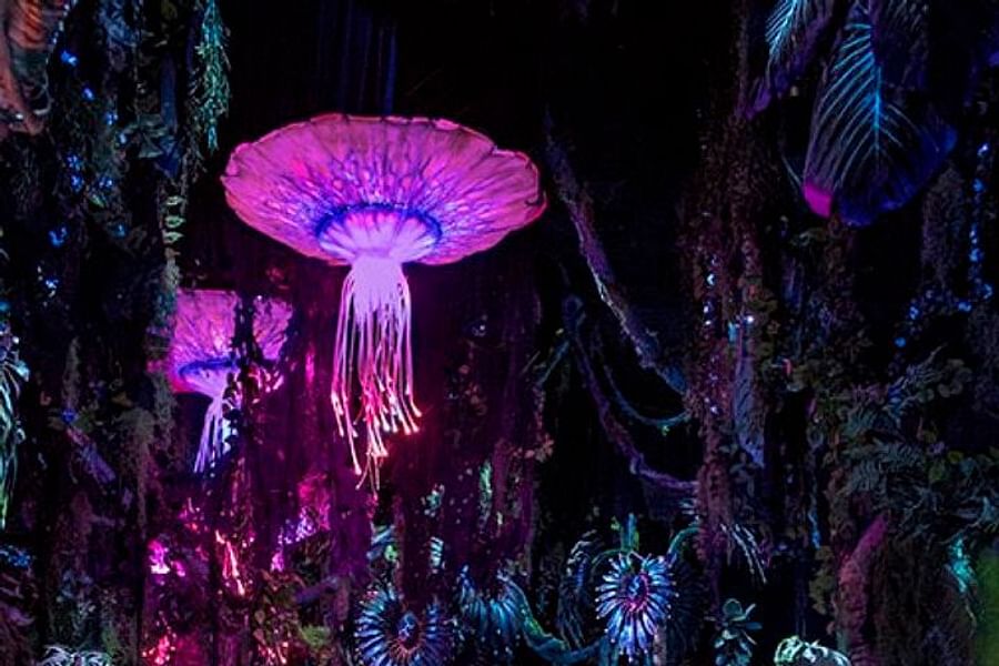 Na'vi River Journey Disney World