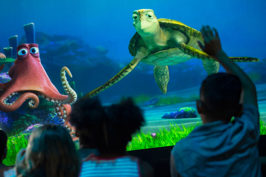 The Seas with Nemo & Friends Disney World