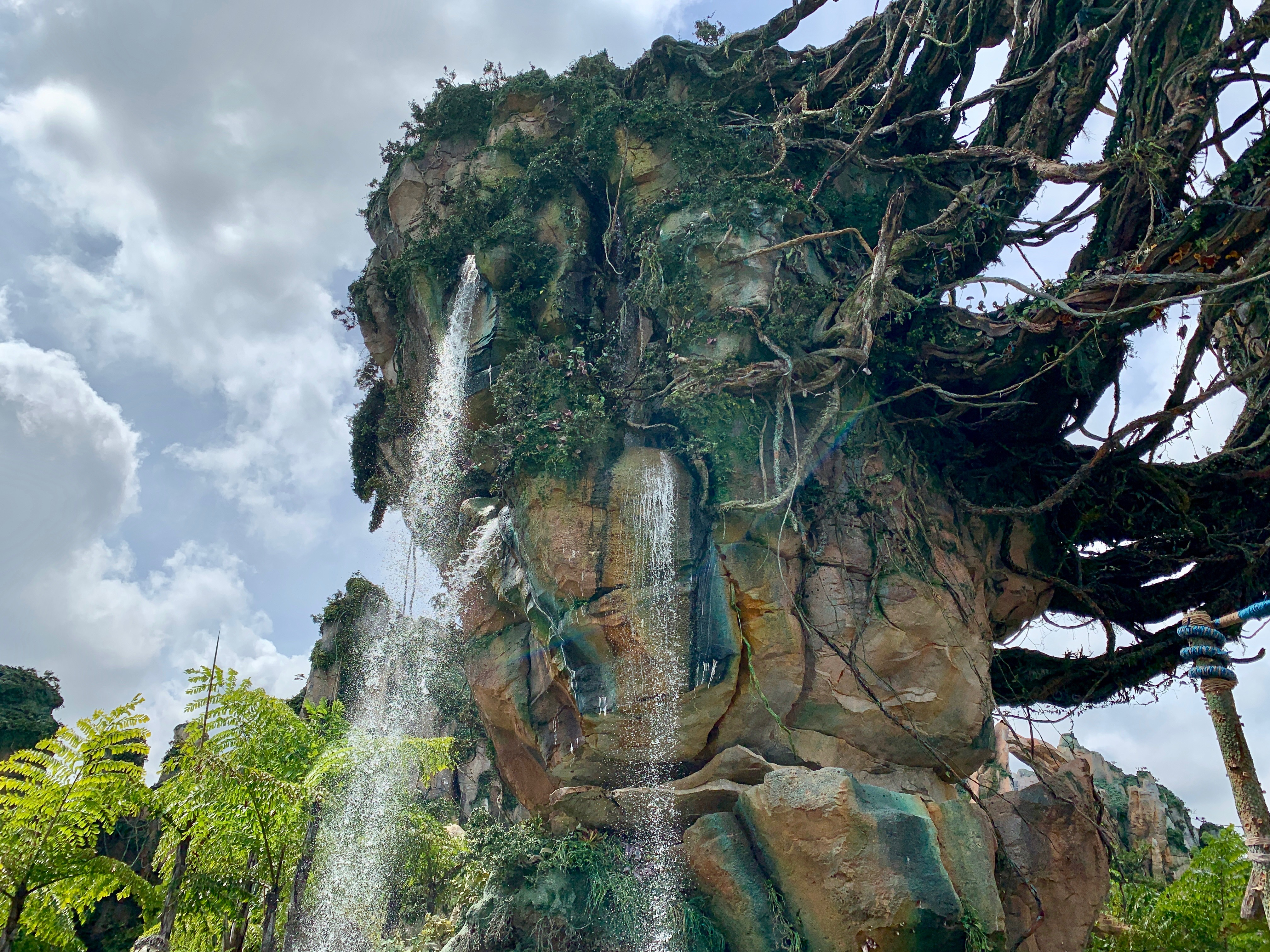 Flaska Reclinata Pandora