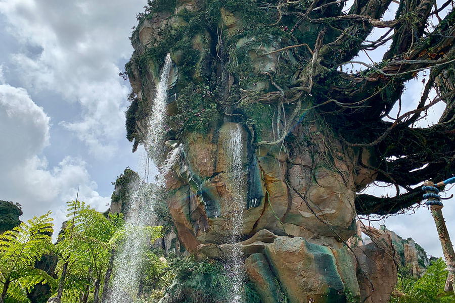 Flaska Reclinata Pandora