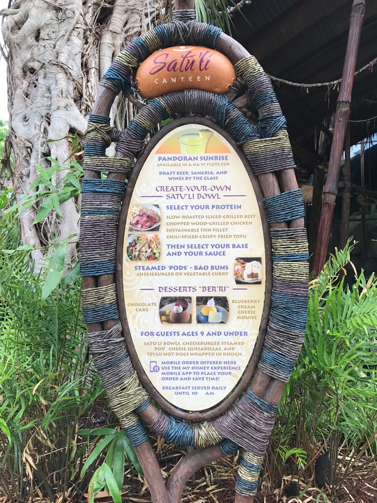 Na'vi culture Disney World