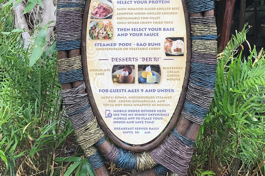 Na'vi culture Disney World