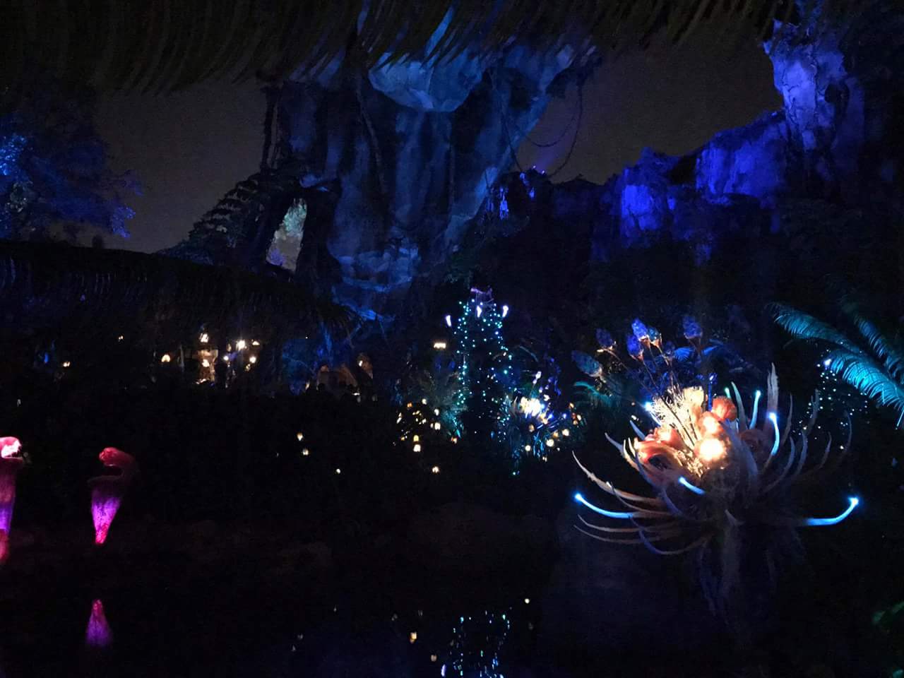 Pandora World of Avatar nighttime