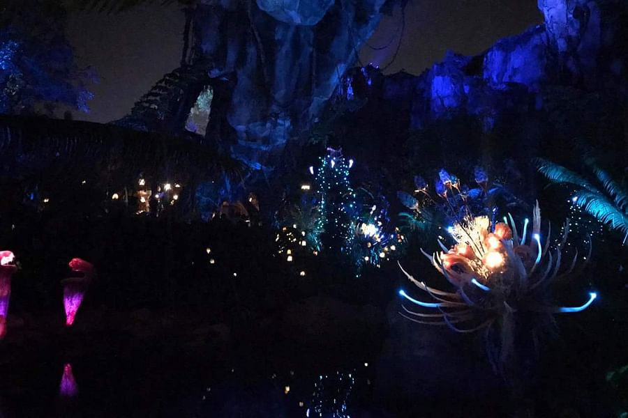 Pandora World of Avatar nighttime