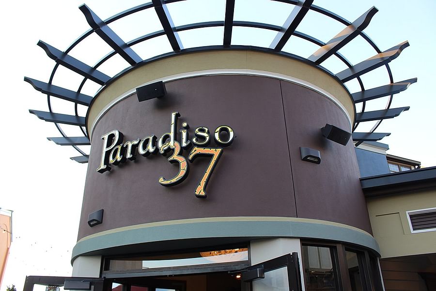 Paradiso 37 Disney Springs