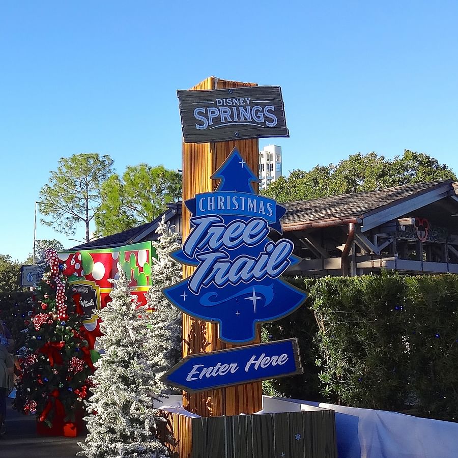 Vibrant Christmas tree illuminated at Disney\'s Christmas Tree Trail