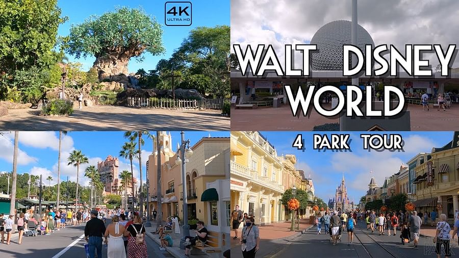 Pictures of Disney World Parks: Magic Kingdom, Epcot, Disney\'s Hollywood Studios, and Disney\'s Animal Kingdom