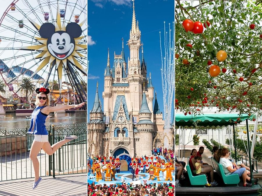 Collage of Different Disney World Transportation Modes including Monorail, Disney Skyliner, Bus Services, Ferry Boats, and Minnie Vans