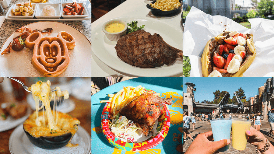 Family enjoying picnic at Disney World