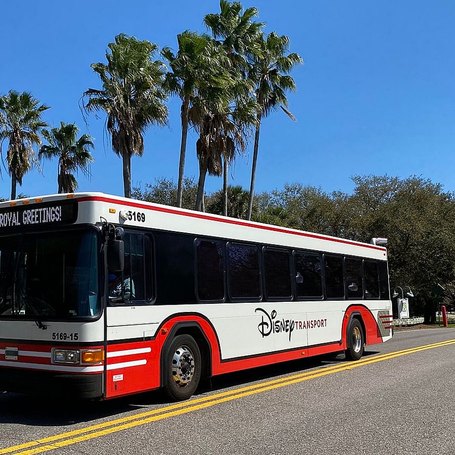 Disney Springs transportation hub featuring buses and boats
