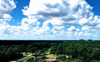 Should I stay at a Disney World resort or off-site when visiting the parks?